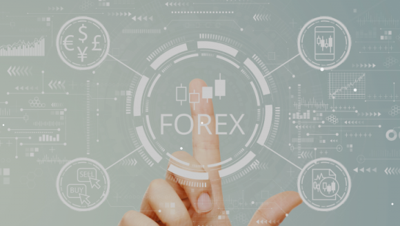 Forex Signals Free Whatsapp Group in South Africa